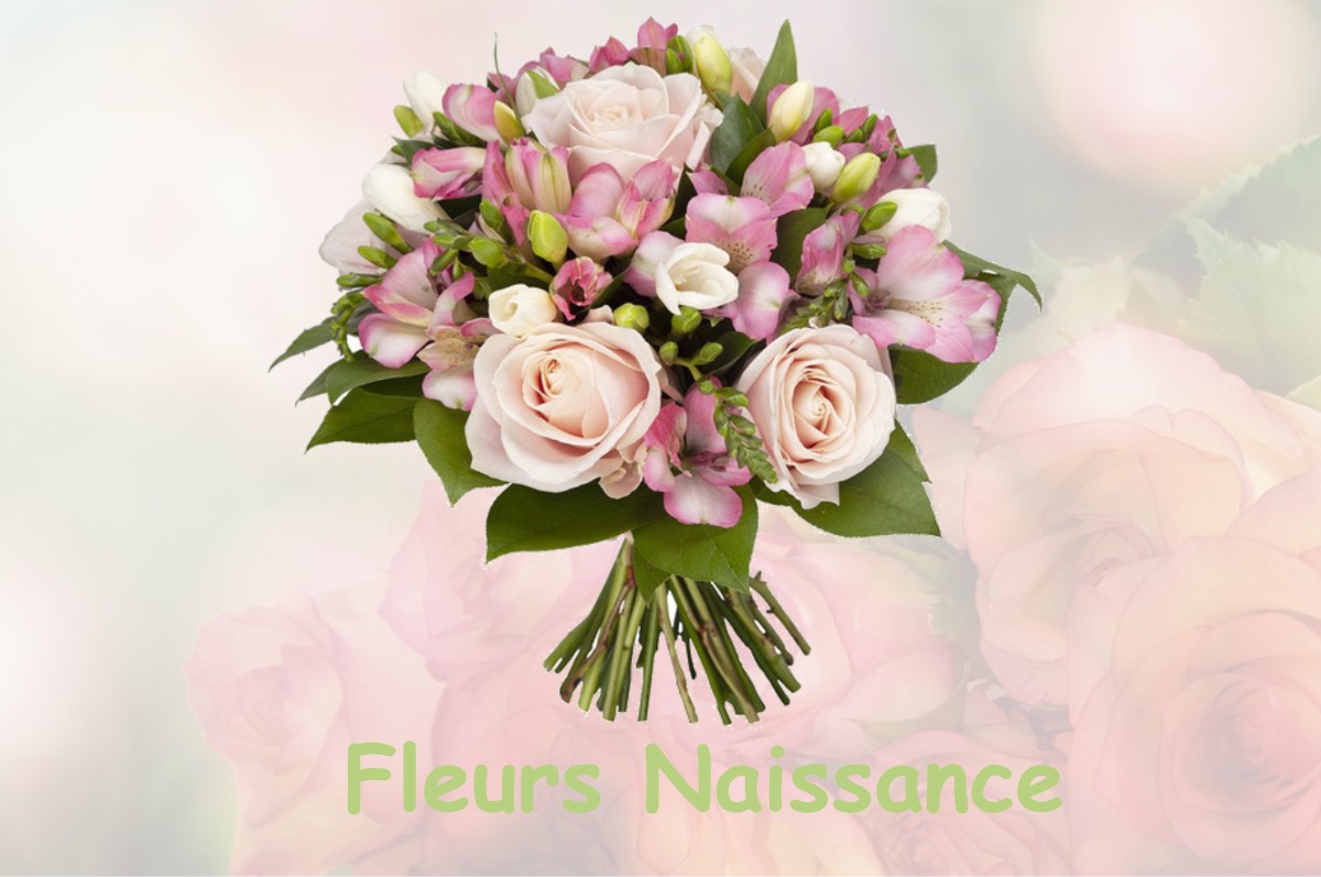 fleurs naissance MARSANNAY-LA-COTE